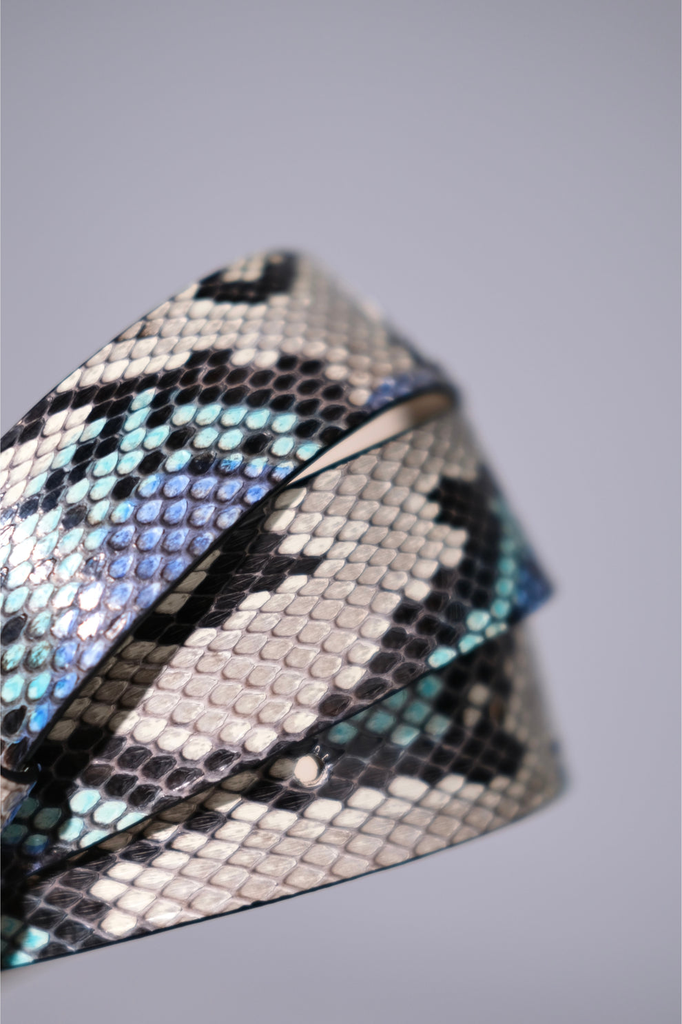FOREST BOA BELT